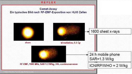 cometassay_1