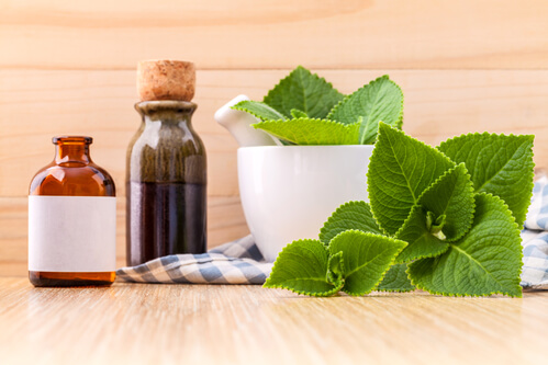 oregano herbal supplement