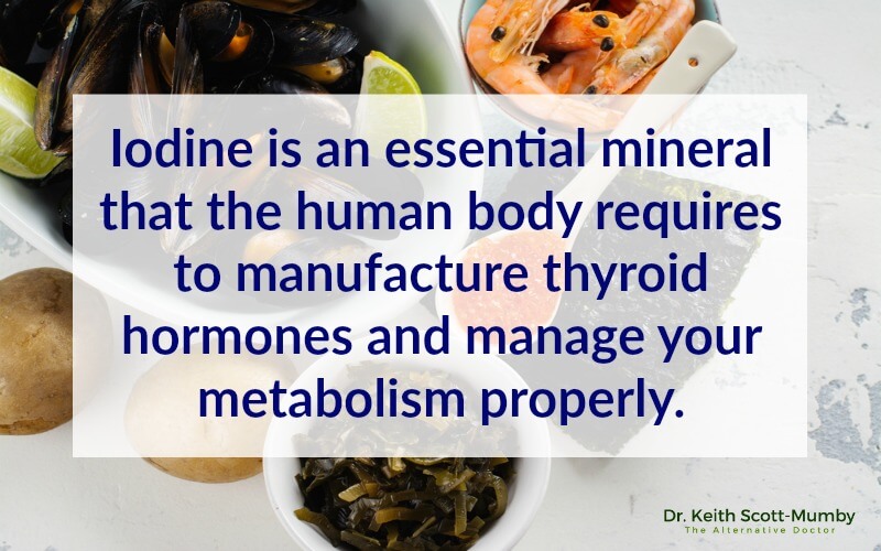 It's important to avoid iodine deficiency if you want a healthy and properly working thyroid. Click here to improve your overall health and well-being with these selected food sources of iodine...