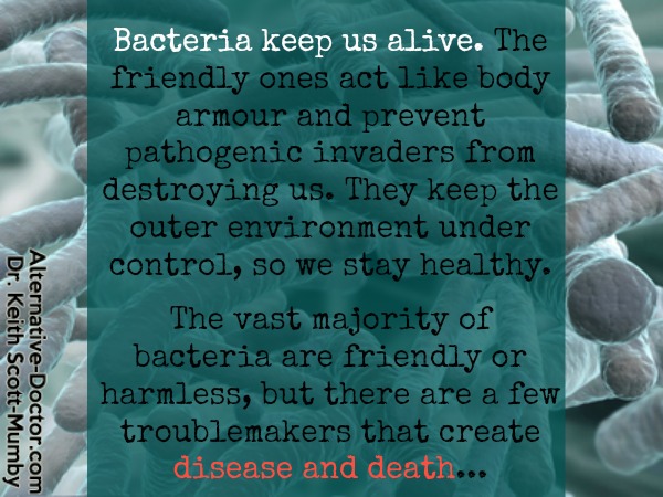 what-is-bacteria