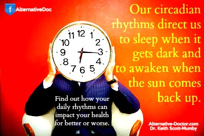 daily rhythms