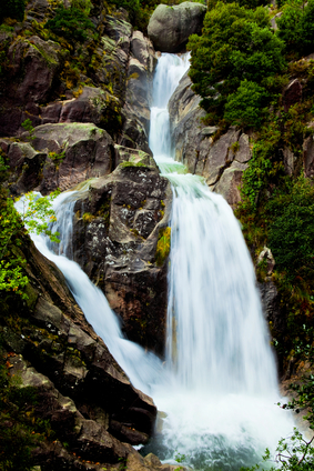 fountain of youth