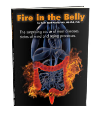fire in the belly book