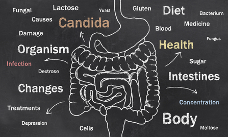 How to Fight Candida
