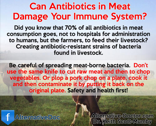 Antibiotics In Meat