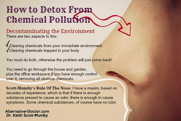 How to Detox from Chemical Pollution