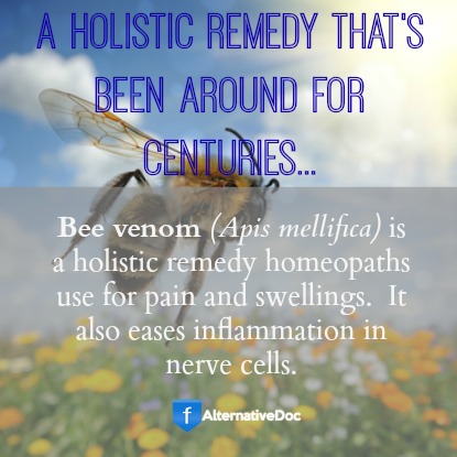 Is bee venom a holistic remedy