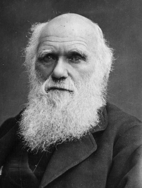 Charles-Darwin-what-is-chronic-fatigue-syndrome 