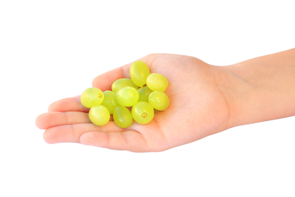 grapes_dangers_of_high_fructose_corn_syrup