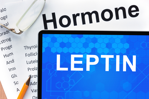 how-to-increase-leptin