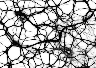 brain-science-neurons
