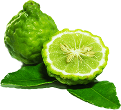 dangers-of-statins-bergamot