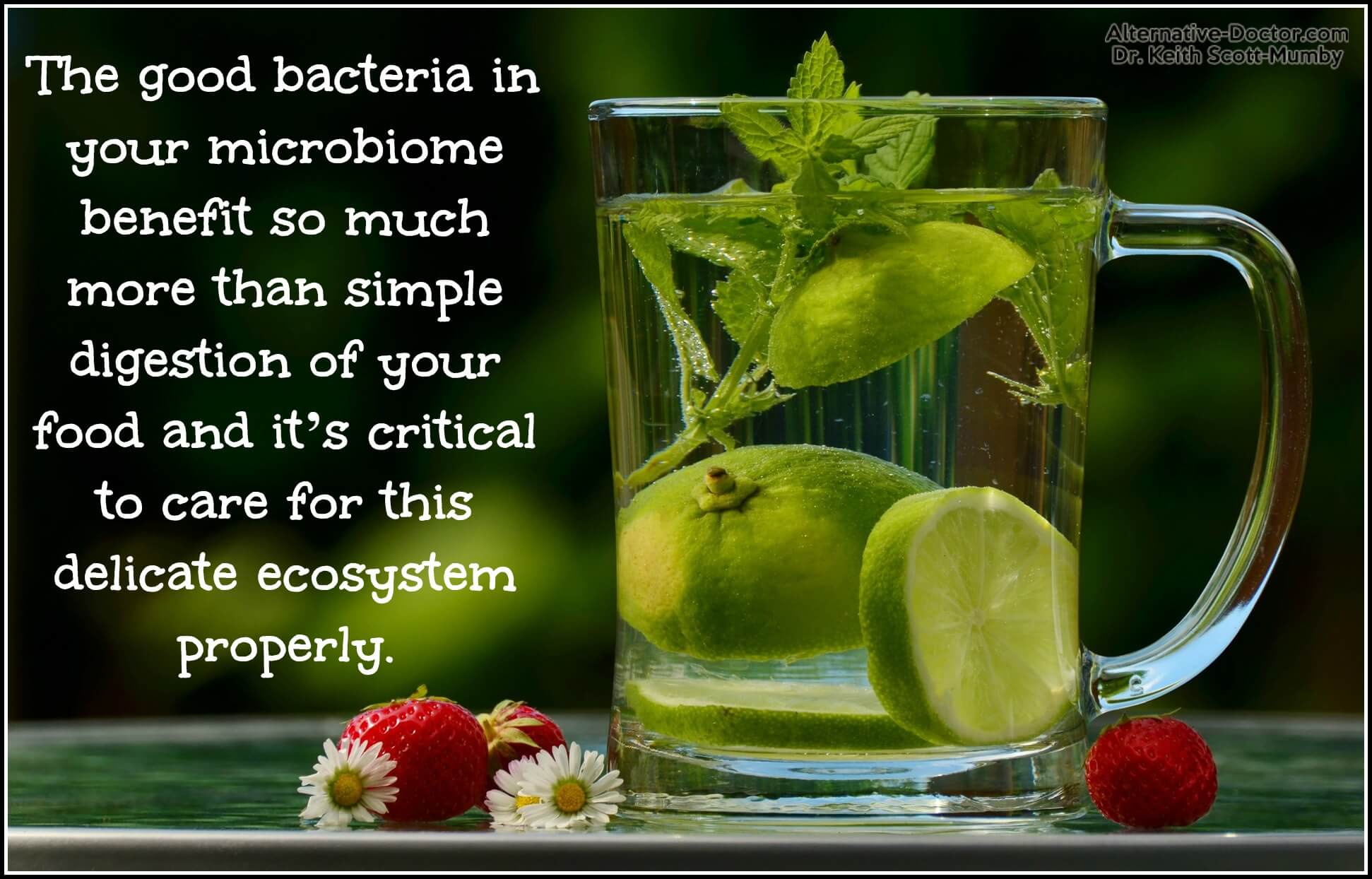 microbiome-benefits-IG