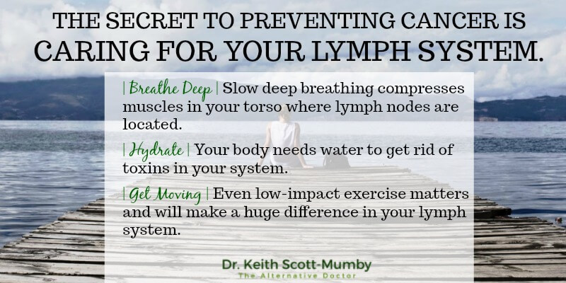 Of course quitting smoking, consumption of alcohol, and changing your diet are all key factors in preventing cancer but did you know that taking care of your lymph system is even more important?