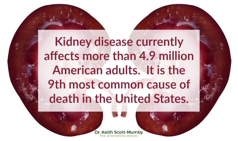 Protecting kidney function after problems arise is too late. It's important to get a hold on the health before it escalates! Click here to learn more...