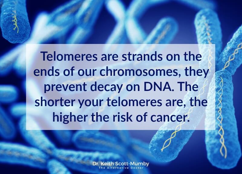 The link between the length of your telomeres and cancer can be life changing information! Click here to learn more about this anti-aging tip...