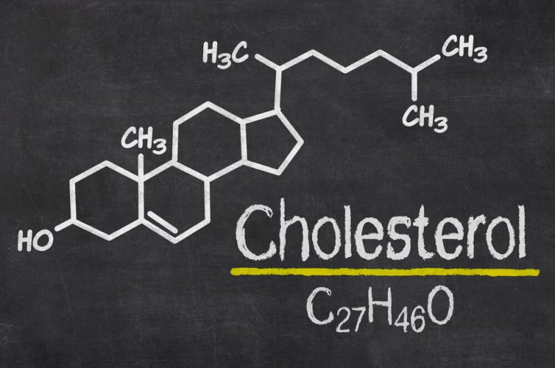 The older you get, the more the benefits of higher cholesterol protect you from any cause of death, not just a heart attack. Click here to learn more about the billions of dollars earned off of lies from modern medicine and physicians...