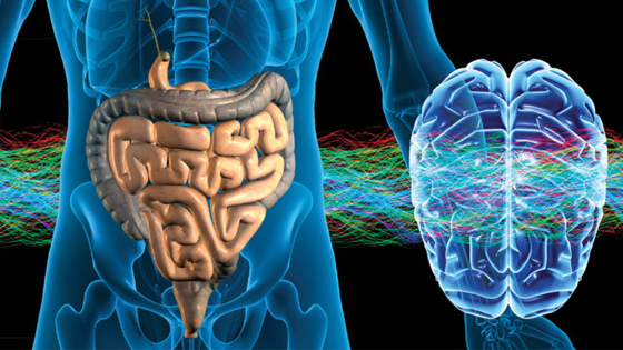 The Gut-Brain Connection Affects Your Entire Body