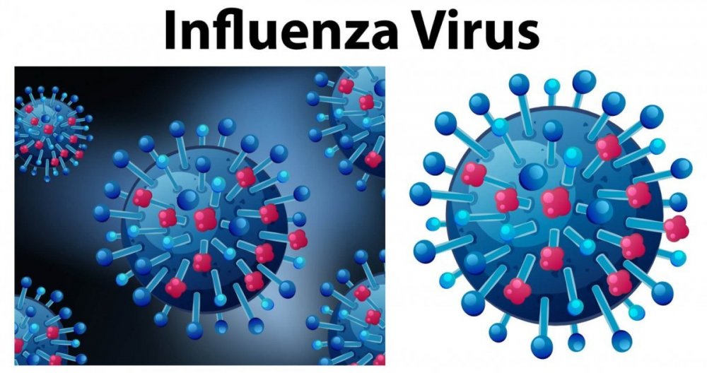 INFLUENZA HAS VIRTUALLY VANISHED AND WE KNOW WHY