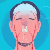 user_assets_MOUX778Z_uploads_images_mip-ilustration-1692407455